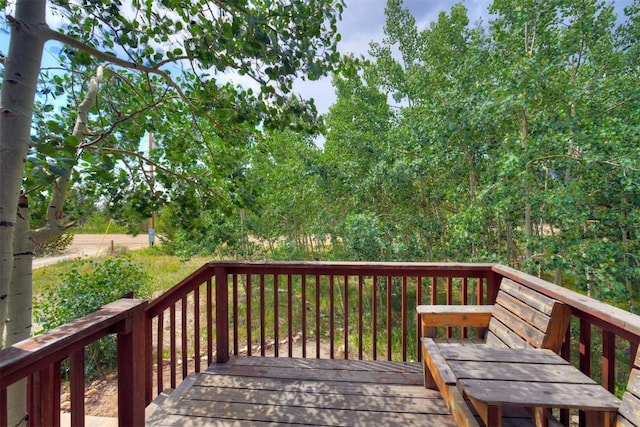 269 High Creek Rd, Fairplay, CO 80440 - photo 24
