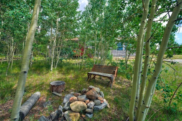 269 High Creek Rd, Fairplay, CO 80440 - photo 25