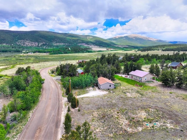 269 High Creek Rd, Fairplay, CO 80440 - photo 2