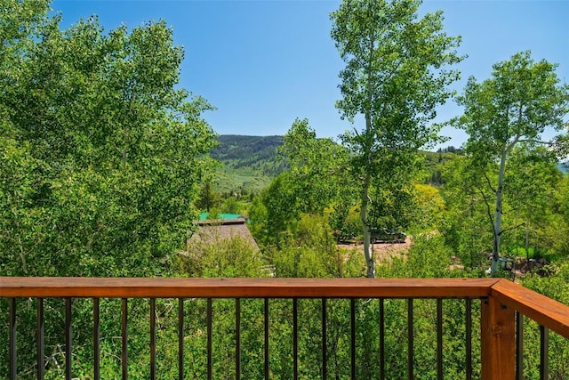 31020 Fallen Falcon Trl, Oak Creek, CO 80467 - view of mountain backdrop