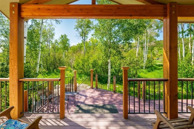 31020 Fallen Falcon Trl, Oak Creek, CO 80467 - view of wooden deck
