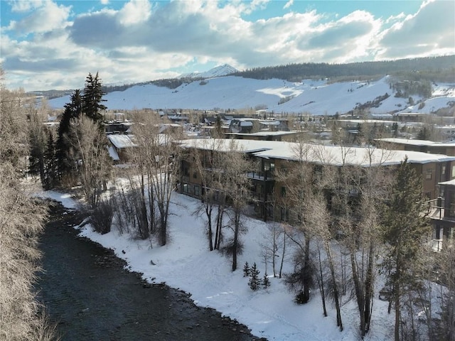 1030 Blue River Pkwy Unit A-302, Silverthorne, CO 80498 - yard layered in snow featuring a mountain view