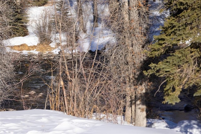 1030 Blue River Pkwy Unit A-302, Silverthorne, CO 80498 - view of snow covered land