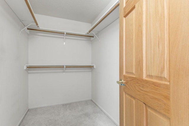 27401 Brandon Cir, Steamboat Springs, CO 80487 - spacious closet featuring light carpet