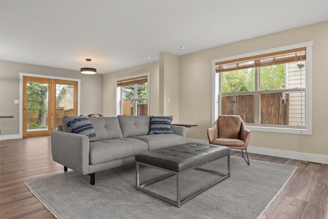 27401 Brandon Cir, Steamboat Springs, CO 80487 - living area with baseboards, wood finished floors, and recessed lighting