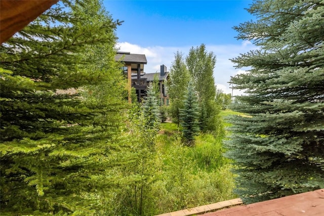 2545 Cattle Kate Cir Unit 3106, Steamboat Springs, CO 80487 - photo 16