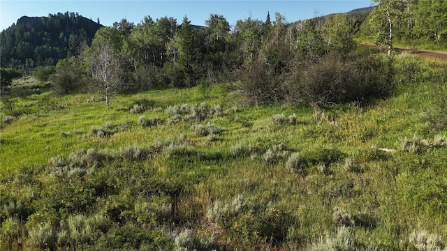 31145 Broken Talon Trl, Oak Creek, CO 80467 - photo 3