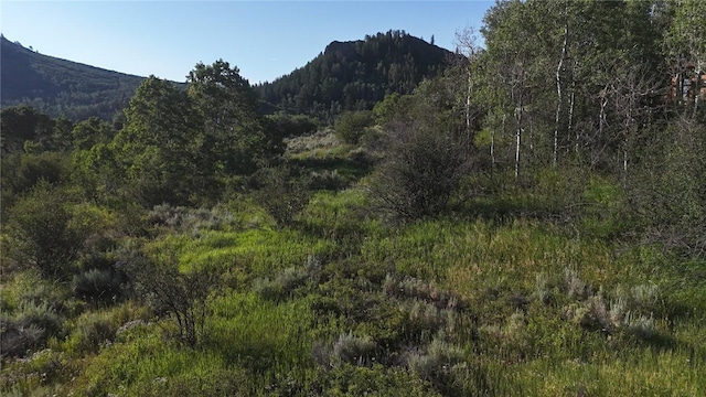 31145 Broken Talon Trl, Oak Creek, CO 80467 - photo 5