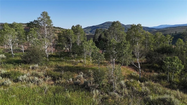 31145 Broken Talon Trl, Oak Creek, CO 80467 - photo 6