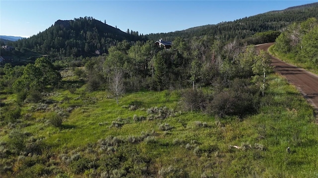 31145 Broken Talon Trl, Oak Creek, CO 80467 - photo 2