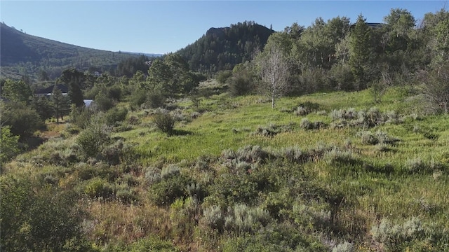 31145 Broken Talon Trl, Oak Creek, CO 80467 - photo 4