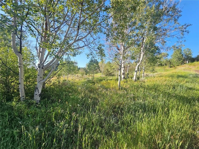 31145 Broken Talon Trl, Oak Creek, CO 80467 - photo 13