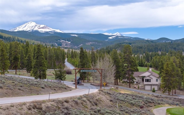 50 Lichen Ln, Keystone, CO 80435 - view of mountain backdrop with a forest