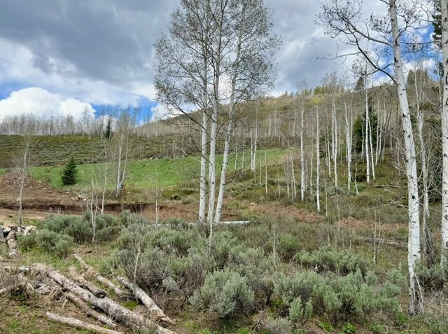 29800 County Road 64, Clark, CO 80428 - photo 5