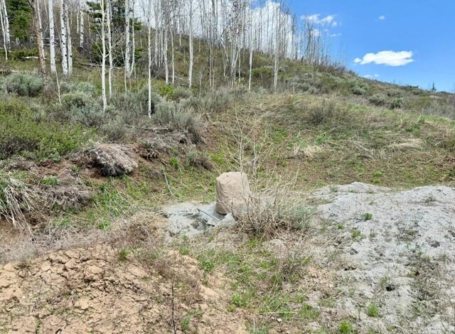 29800 County Road 64, Clark, CO 80428 - photo 6