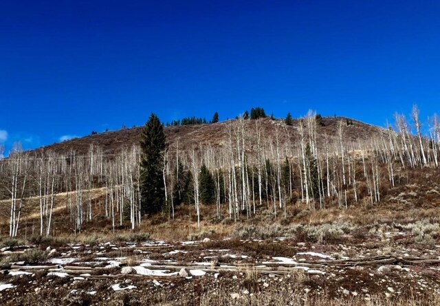 29800 County Road 64, Clark, CO 80428 - photo 30