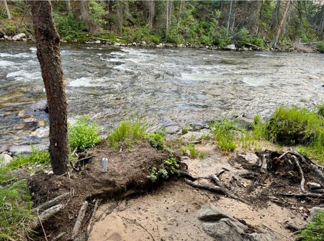 29800 County Road 64, Clark, CO 80428 - photo 23