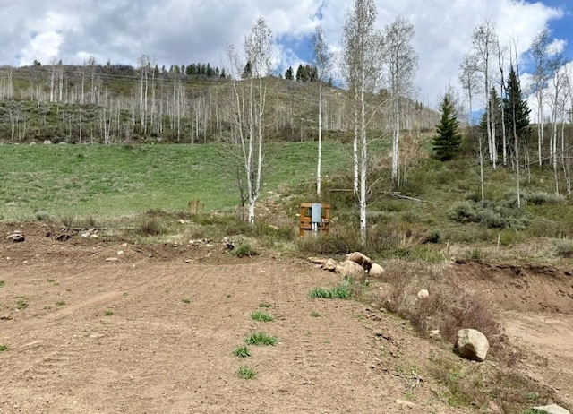 29800 County Road 64, Clark, CO 80428 - photo 3