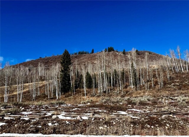 29800 County Road 64, Clark, CO 80428 - photo 12