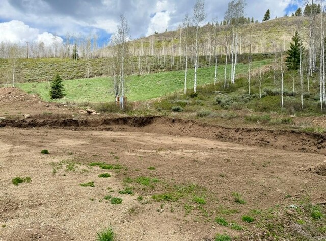 29800 County Road 64, Clark, CO 80428 - photo 4