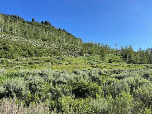 29800 County Road 64, Clark, CO 80428 - photo 28