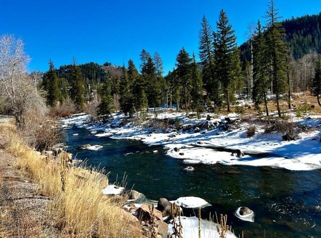 29800 County Road 64, Clark, CO 80428 - photo 31