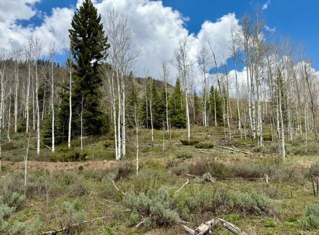 29800 County Road 64, Clark, CO 80428 - photo 8