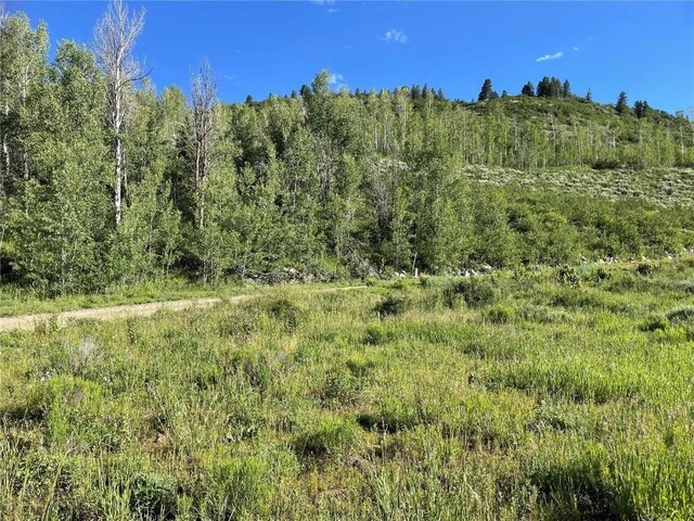 29800 County Road 64, Clark, CO 80428 - photo 27