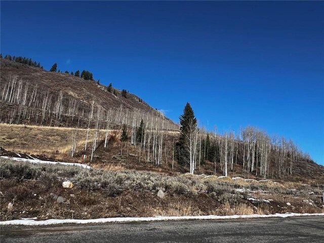 29800 County Road 64, Clark, CO 80428 - photo 11