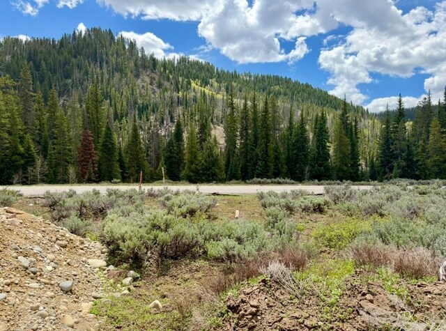 29800 County Road 64, Clark, CO 80428 - photo 9