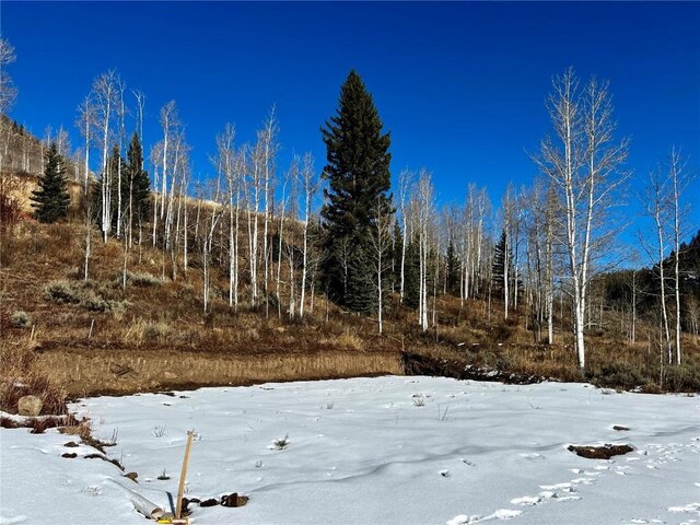 29800 County Road 64, Clark, CO 80428 - photo 18