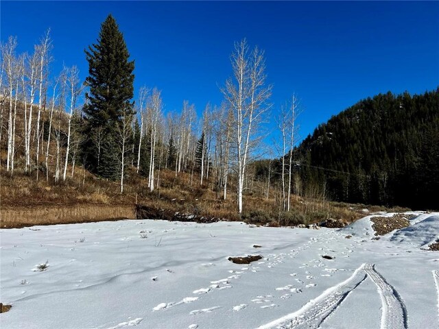29800 County Road 64, Clark, CO 80428 - photo 19