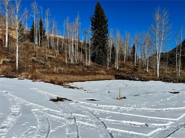 29800 County Road 64, Clark, CO 80428 - photo 16