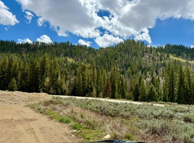 29800 County Road 64, Clark, CO 80428 - photo 2