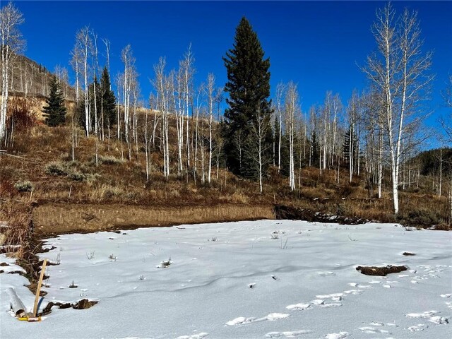 29800 County Road 64, Clark, CO 80428 - photo 17