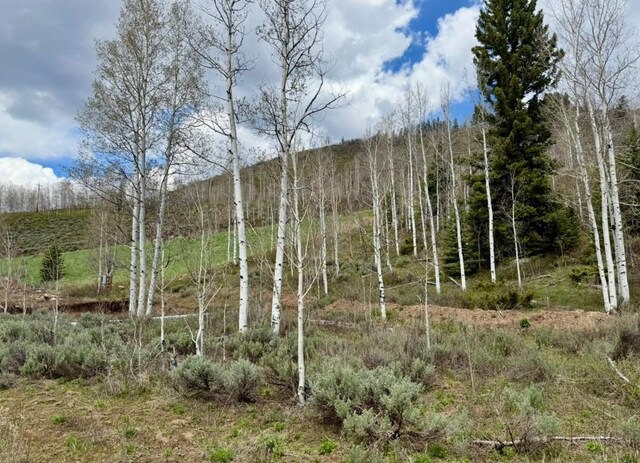 29800 County Road 64, Clark, CO 80428 - photo 7