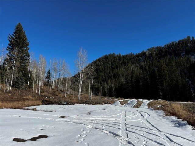 29800 County Road 64, Clark, CO 80428 - photo 21