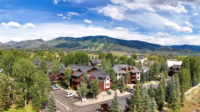 380 Ore House Plz Unit 304, Steamboat Springs, CO 80487 - photo 28