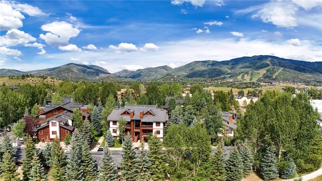 380 Ore House Plz Unit 304, Steamboat Springs, CO 80487 - photo 29