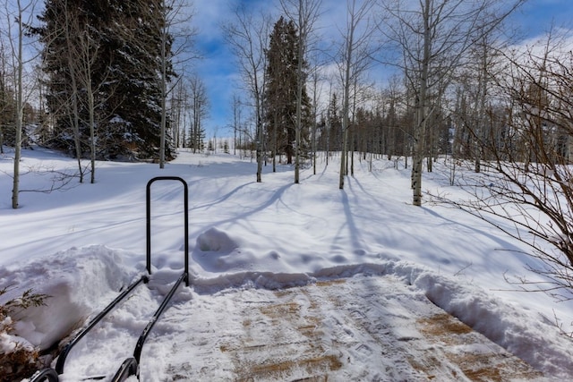 32596 Ute Trl, Oak Creek, CO 80467 - view of yard covered in snow
