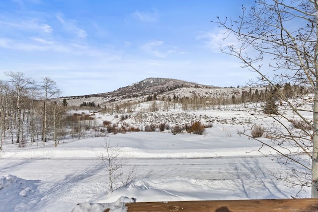 32596 Ute Trl, Oak Creek, CO 80467 - view of mountain background