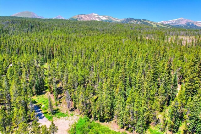 158 Bryce Estates Rd, Breckenridge, CO 80424