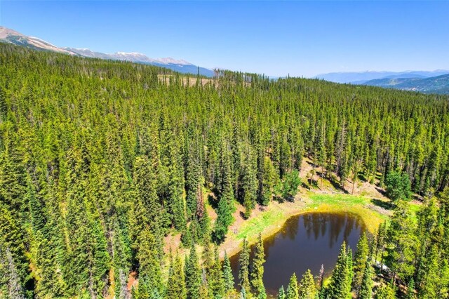 158 Bryce Estates Rd, Breckenridge, CO 80424