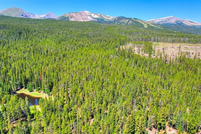 158 Bryce Estates Rd, Breckenridge, CO 80424