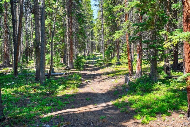 158 Bryce Estates Rd, Breckenridge, CO 80424