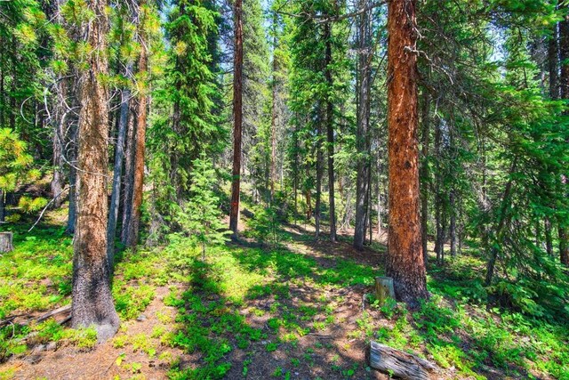 158 Bryce Estates Rd, Breckenridge, CO 80424