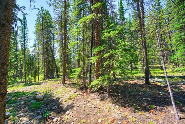 158 Bryce Estates Rd, Breckenridge, CO 80424