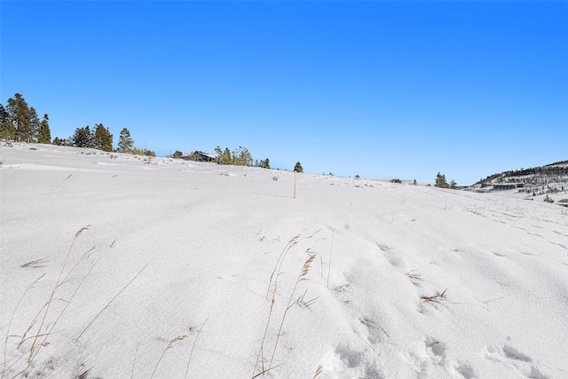 1500 Lone Eagle Dr, Granby, CO 80446 - photo 4