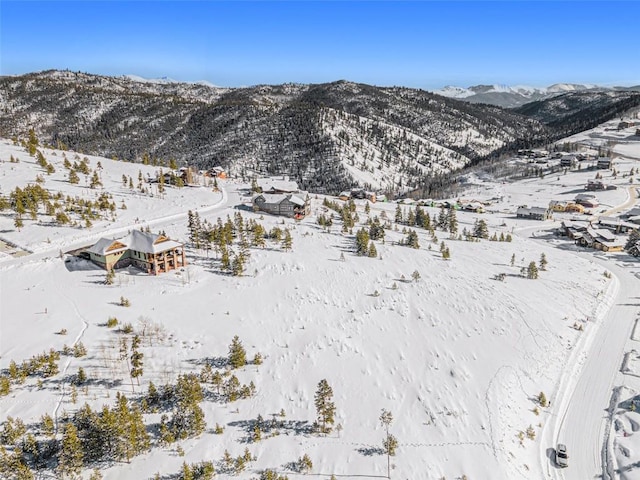 1500 Lone Eagle Dr, Granby, CO 80446 - photo 12