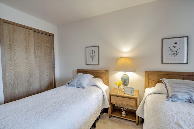 715 S 5th Ave Unit 260, Frisco, CO 80443 - bedroom featuring carpet flooring and a closet